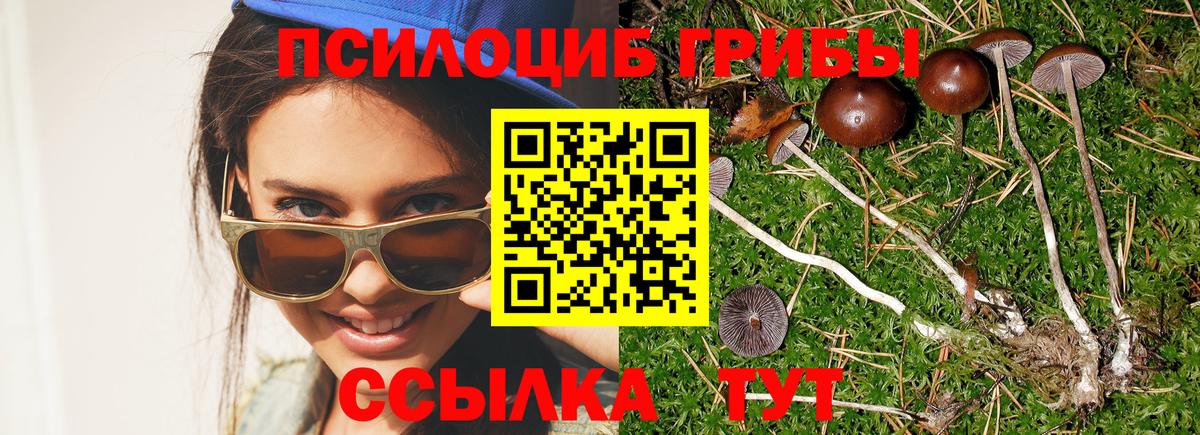 Галлюциногенные грибы Cubensis Воскресенск